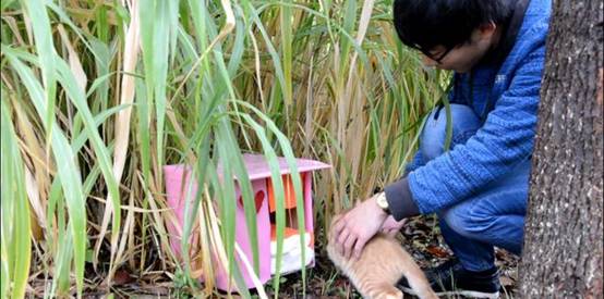 長沙理工大學學生用快遞盒打造“別墅”